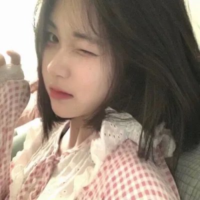 极地熊踪